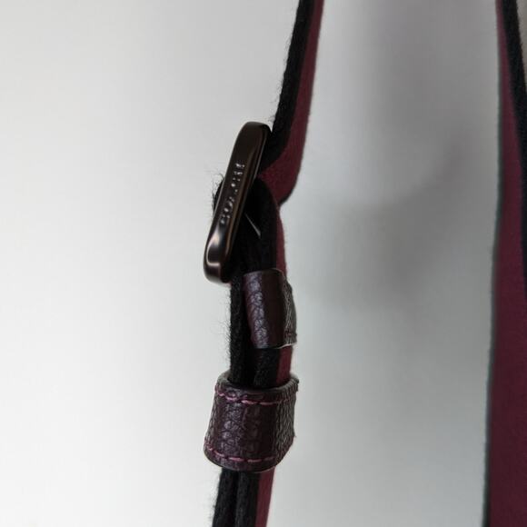 Coach Dylan 10 Crossbody Bag with Horse & Carriage Print - Picture 10 of 11